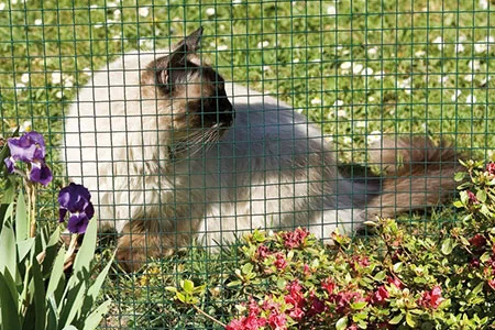 n3009_green_weld_mesh_in_use